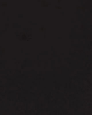 초코밤색(GTK06)